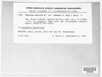 Image Associated With the Occurence